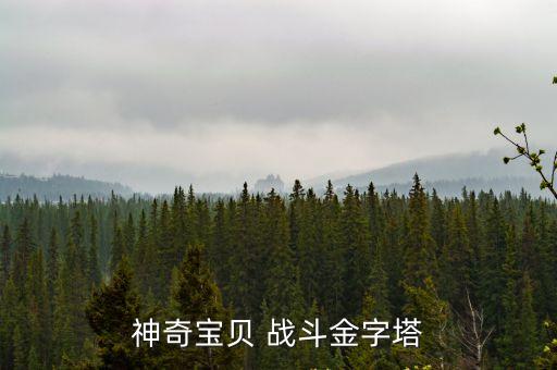 神奇寶貝 戰(zhàn)斗金字塔
