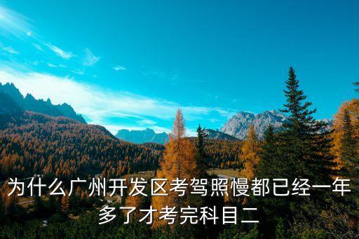 廣州考駕照為什么慢，廣州的車管所人員上班都做些什么的為什么廣州考駕照就特別慢的呢