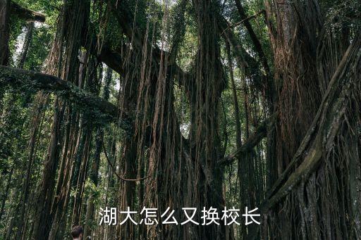 湖南大學校長，湖大怎么又換校長