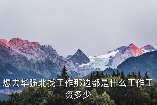 廣州華強工業園電子廠有哪些，華強北哪里有LED廠沒