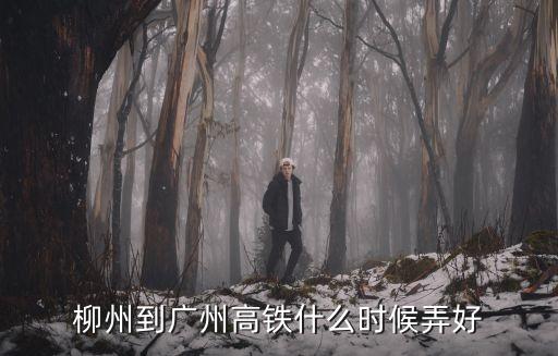 柳州至廣州高鐵規(guī)劃最新，廣州到柳州有沒有高鐵