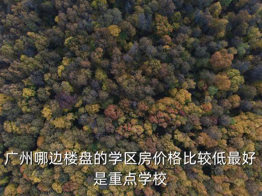 廣州永和區(qū)哪個(gè)小學(xué)區(qū)房最好，聽說江寧路小學(xué)蠻好的如果要進(jìn)這個(gè)小學(xué)就讀買哪個(gè)學(xué)區(qū)房合適