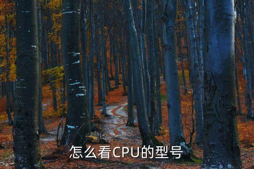 怎么看cpu型號，計算機(jī)的CPU怎么看