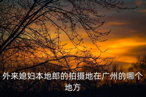BBC拍廣州的視頻，老外拍的一個(gè)中國(guó)記錄片名字bbc拍的