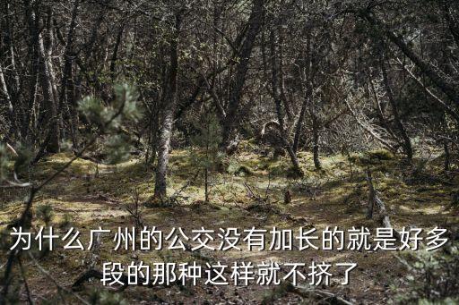 為什么廣州的公交沒(méi)有加長(zhǎng)的就是好多段的那種這樣就不擠了