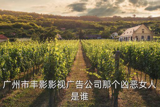 廣州市豐影影視廣告公司那個兇惡女人是誰