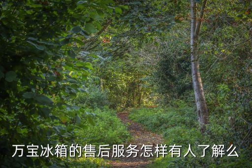 萬寶冰箱的售后服務怎樣有人了解么