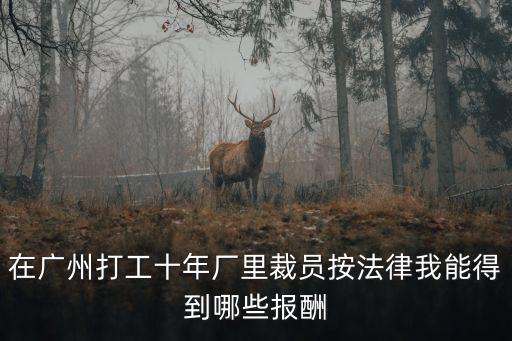 在廣州打工十年廠里裁員按法律我能得到哪些報酬