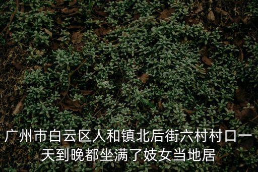 廣州市白云區人和鎮北后街六村村口一天到晚都坐滿了妓女當地居
