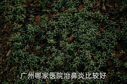 廣州哪家醫院治鼻炎比較好