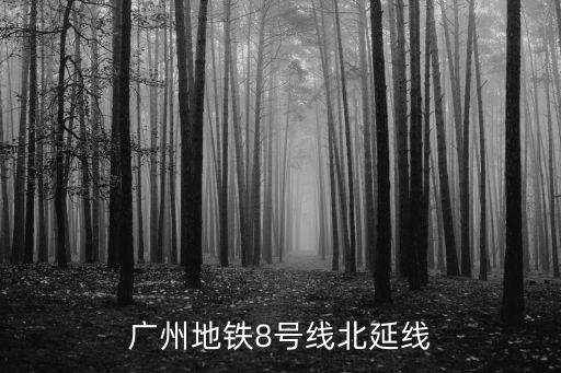 廣州地鐵8號線北延段現場直播，廣州地鐵八號線北延段開始動工了嗎