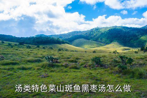 斑魚湯，石斑魚湯的做法石斑魚湯怎么做好吃石斑魚湯