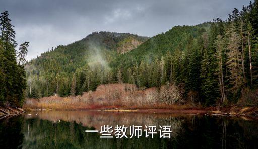 老師的評語，教師對中學生的評語
