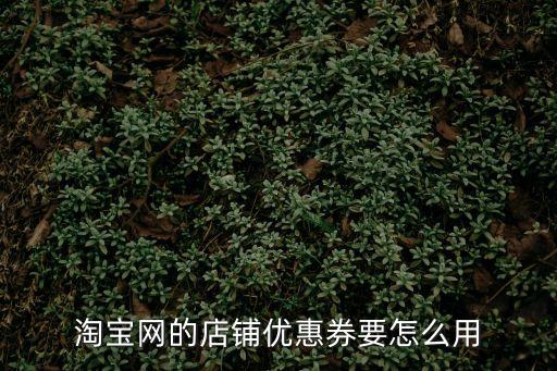 淘寶網的店鋪優惠券要怎么用