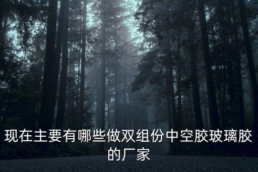 現在主要有哪些做雙組份中空膠玻璃膠的廠家