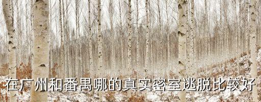 廣州番禺密室俱樂部，在廣州和番禺哪的真實(shí)密室逃脫比較好