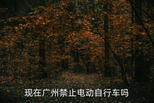 現在廣州禁止電動自行車嗎
