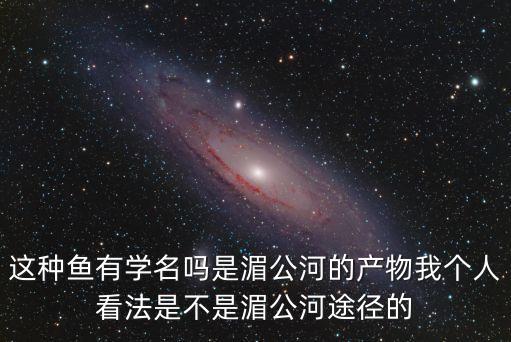 湄公河鯰魚，湄南河里的泰國神魚是什么魚水門寺旁