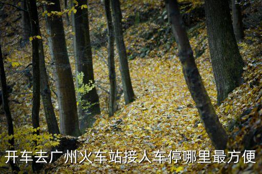 廣州火車站停車3天停哪里比較好，開車去廣州火車站接人車停哪里最方便