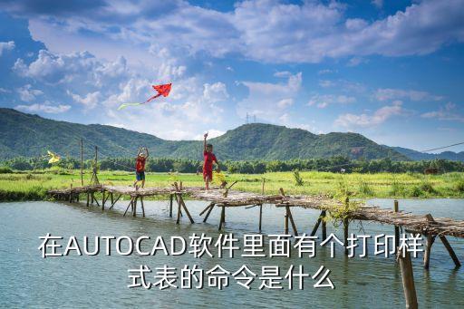 cad打印樣式表，cad打印樣式表