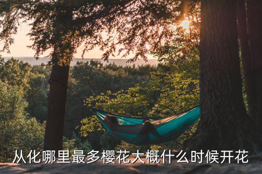 廣州市從化區(qū)哪個(gè)地方有櫻花看，想知道 廣州市 從化天適櫻花悠樂園 在哪