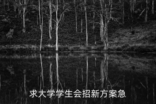 求大學學生會招新方案急