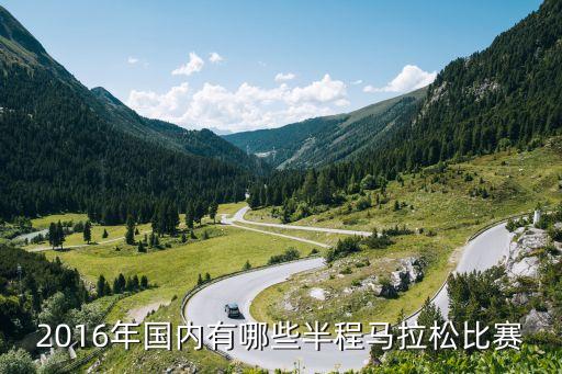 國內馬拉松賽事，2016年國內有哪些半程馬拉松比賽