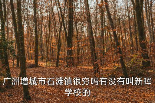 廣洲增城市石灘鎮(zhèn)很窮嗎有沒有叫新暉學(xué)校的