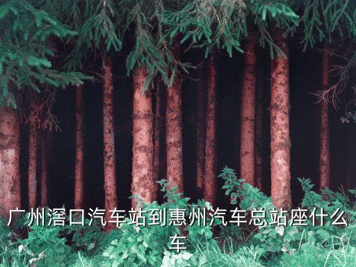 廣州滘口汽車站到惠州汽車總站座什么車