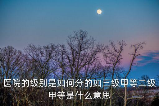 醫(yī)院的級別是如何分的如三級甲等二級甲等是什么意思