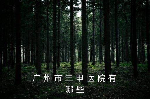  廣 州 市 三 甲 醫 院 有 哪 些