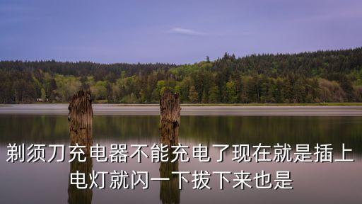 剃須刀充電器不能充電了現(xiàn)在就是插上電燈就閃一下拔下來也是