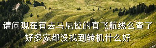 東航開通廣州直飛菲律賓宿務(wù)航線，請(qǐng)問現(xiàn)在有去馬尼拉的直飛航線么查了好多家都沒找到轉(zhuǎn)機(jī)什么好