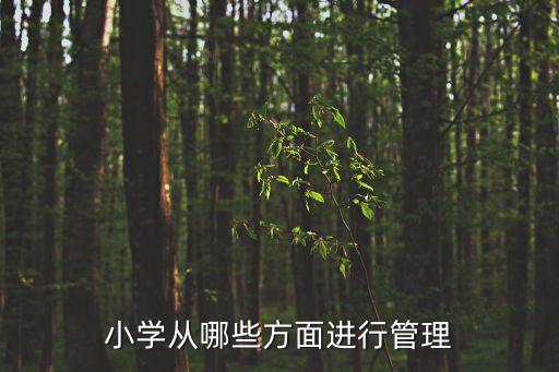 小學(xué)從哪些方面進(jìn)行管理