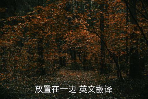 放置在一邊 英文翻譯