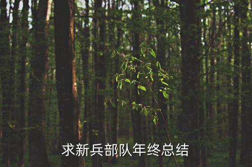 部隊心得體會，怎樣當好兵的心得體會 急求 內容多一些