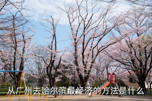 從廣州去哈爾濱最經濟的方法是什么