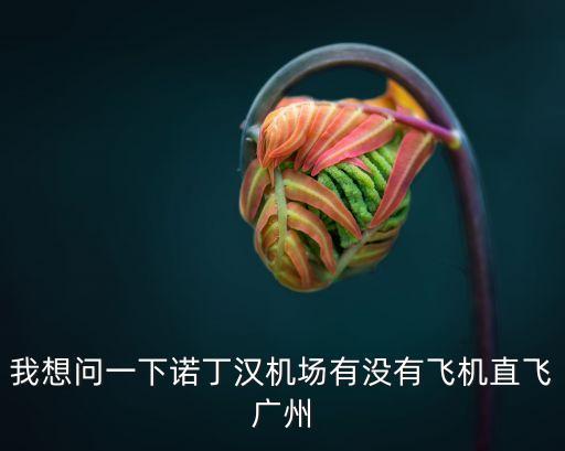 我想問一下諾丁漢機場有沒有飛機直飛廣州
