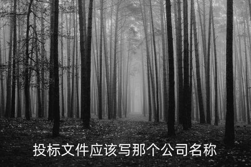 投標公司，投標文件應該寫那個公司名稱