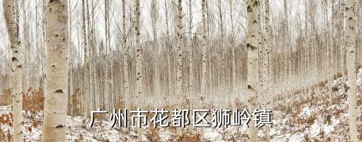 廣州花都獅嶺新增病例分布，花都區(qū)獅嶺鎮(zhèn)晚上人群集中的地方有幾個(gè)