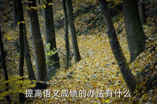 怎樣提高語文成績，語文怎樣提高成績