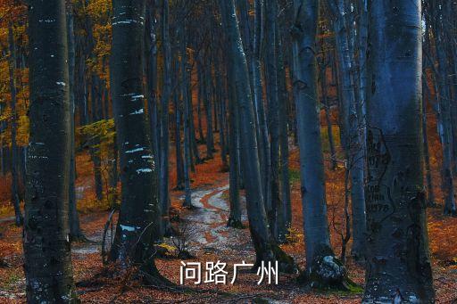廣州420確診者軌跡，問地點注意是廣州的