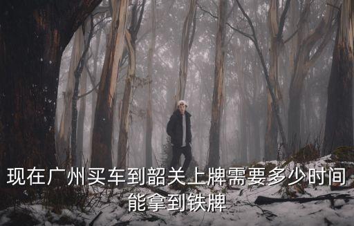 廣州新車上牌多久收到鐵牌，現在廣州買車到韶關上牌需要多少時間能拿到鐵牌