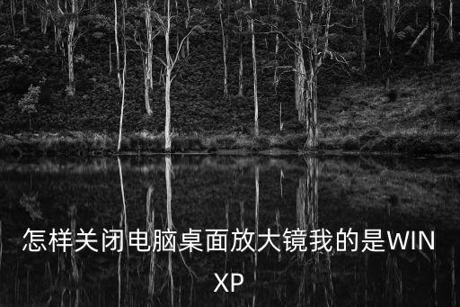 怎樣關閉電腦桌面放大鏡我的是WINXP