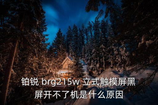 廣州鉑銳觸摸屏，鉑銳 brg215w 立式觸摸屏黑屏開不了機是什么原因