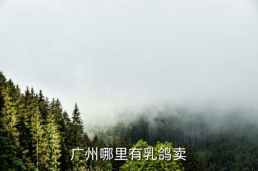 廣州哪里有乳鴿賣