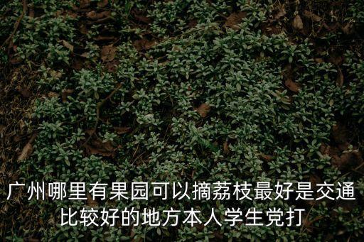 廣州哪里有果園可以摘荔枝最好是交通比較好的地方本人學生黨打