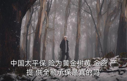 廣州寶慧通投資公司，中國太平保 險為黃金樹黃 金資 產提 供全額承保是真的嗎