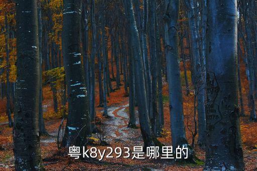 粵k8y293是哪里的