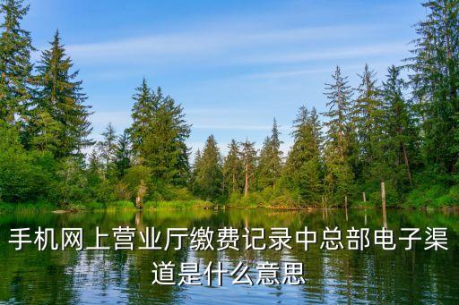 電子渠道，電信電子渠道工作人員具體要做些什么